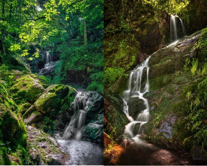 Honey Creek Adventure